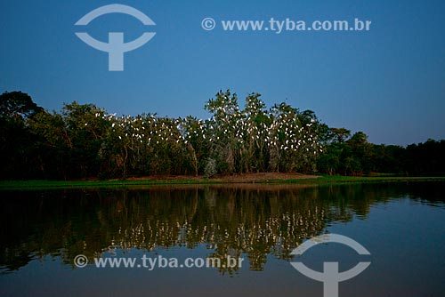  Subject: Nightfall in Claro River / Place: Mato Grosso state (MT) - Brazil / Date: 10/2012 