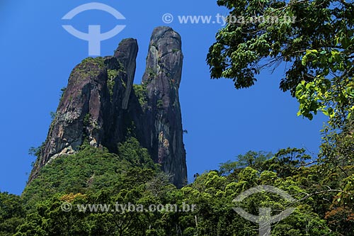  Subject: Mountain of Serra dos Orgaos / Place: Teresopolis city - Rio de Janeiro state (RJ) - Brazil / Date: 11/2013 