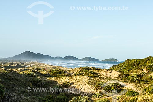  Subject: Dunes of Ribanceira Beach / Place: Imbituba - Santa Catarina (SC) - Brazil / Date: 10/2013 