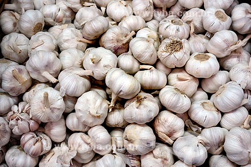  Subject: Heads of garlic (Allium sativum) on sale - Supply Centre of the Guanabara State (CADEG) / Place: Benfica neighborhood - Rio de Janeiro city - Rio de Janeiro state (RJ) - Brazil / Date: 07/2013 