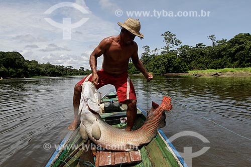  Subject: Fishing for Pirarucu (Arapaima gigas) / Place: Maraa city - Amazonas state (AM) - Brazil / Date: 11/2013 
