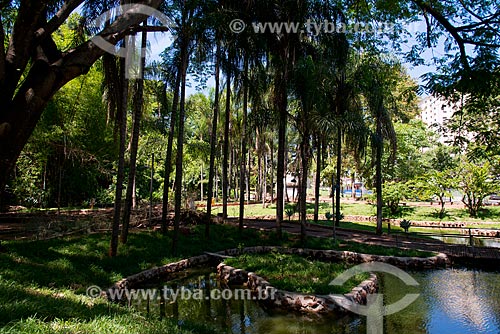  Subject: Municipal Park Mata do Ipe / Place: Uberaba city - Minas Gerais state (MG) - Brazil / Date: 10/2013 