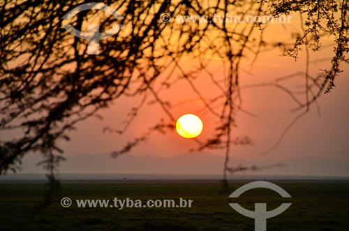  Subject: Dawn - Amboseli National Park / Place: Rift Valley - Kenya - Africa / Date: 09/2012 