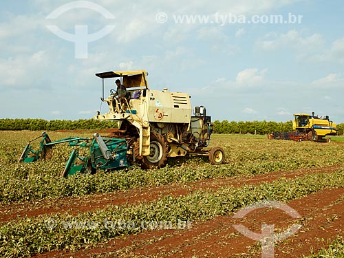  Subject: Mechanized harvesting of soybean plantation / Place: Holambra city - Sao Paulo state (SP) - Brazil / Date: 12/2013 