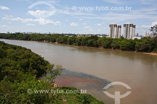  Subject: Shoal of fish Curimbata (Prochilodus lineatus) in Cuiaba River with the city in the background / Place: Cuiaba city - Mato Grosso state (MT) - Brazil / Date: 10/2013 