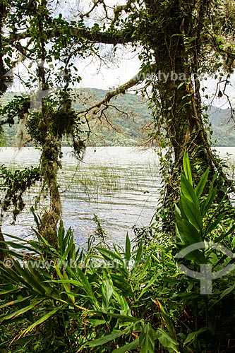  Subject: View of Peri Lagoon from Gurita Trekking Trail - Lagoa do Peri Municipal Park / Place: Florianopolis city - Santa Catarina state (SC) - Brazil / Date: 12/2013 