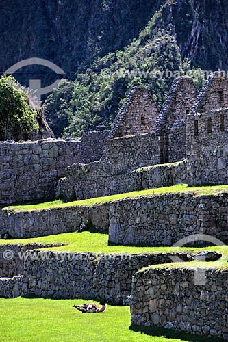  Subject: Ruin of Machu Picchu / Place: Peru - South America / Date: 06/2012 
