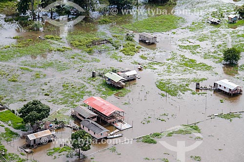  Subject: Riparian community on the banks of Madeira River near to Autazes city / Place: Autazes city - Amazonas state (AM) - Brazil / Date: 03/2012 