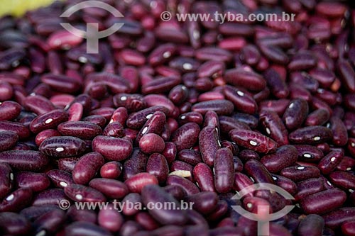  Subject: Detail of grains of purple beans / Place: Peru - South America / Date: 01/2012 