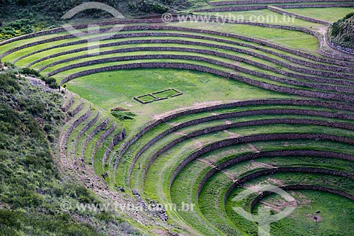 Subject: Inca ruins of Moray / Place: Maras city - Peru - South America / Date: 01/2012 