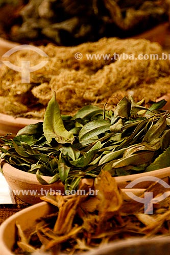  Subject: Leaves used for dyeing the cloth / Place: Peru - South America / Date: 12/2011 