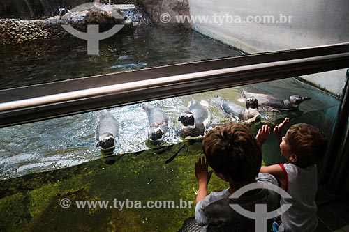  Subject: Children watching penguins - Santos Municipal Aquarium / Place: Santos city - Sao Paulo state (SP) - Brazil / Date: 12/2013 