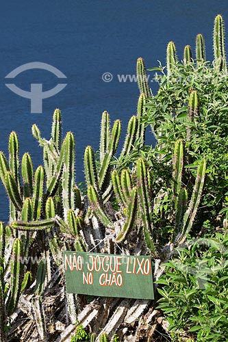  Subject: Pilosocereus ulei cactus - characteristic cactus of Caatinga Fluminense also known as field open wooded - neart to plaque on the Forno Hill (Oven Hill) / Place: Arraial do Cabo city - Rio de Janeiro state (RJ) - Brazil / Date: 01/2014 
