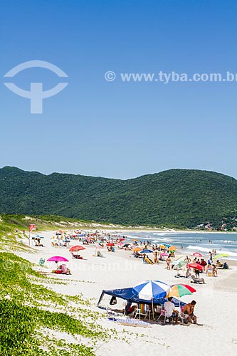  Subject: Acores Beach / Place: Pantano do Sul neighborhood - Florianopolis city - Santa Catarina state (SC) - Brazil / Date: 01/2014 
