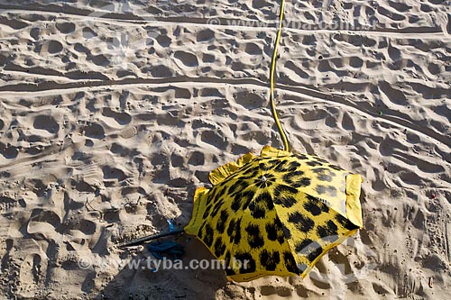  Subject: Beach tent - Ipanema Beach / Place: Ipanema neighborhood - Rio de Janeiro city - Rio de Janeiro (RJ) - Brazil / Date: 01/2014 