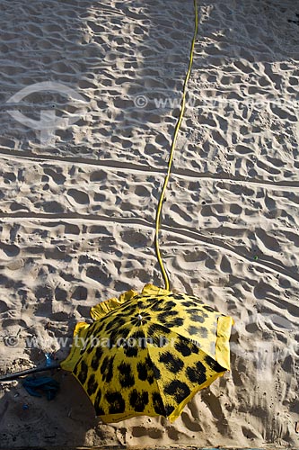  Subject: Beach tent - Ipanema Beach / Place: Ipanema neighborhood - Rio de Janeiro city - Rio de Janeiro (RJ) - Brazil / Date: 01/2014 