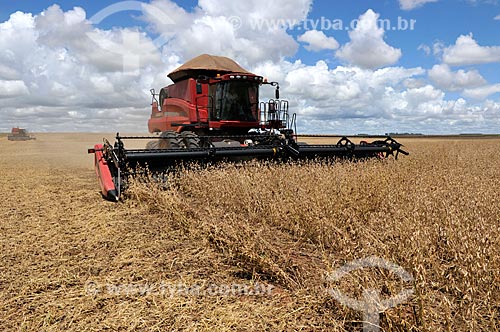  Subject: Mechanical harvesting of soybean / Place: Chapadao do Sul city - Mato Grosso do Sul state (MS) - Brazil / Date: 02/2014 