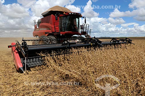  Subject: Mechanical harvesting of soybean / Place: Chapadao do Sul city - Mato Grosso do Sul state (MS) - Brazil / Date: 02/2014 