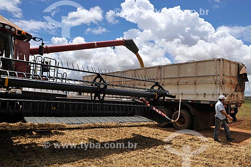  Subject: Unloading of soybean - grain truck / Place: Chapadao do Sul city - Mato Grosso do Sul state (MS) - Brazil / Date: 02/2014 