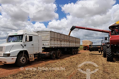  Subject: Unloading of soybean - grain truck / Place: Chapadao do Sul city - Mato Grosso do Sul state (MS) - Brazil / Date: 02/2014 