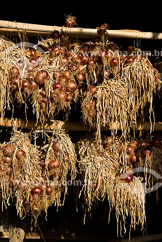  Subject: Onions awaiting transport after harvest / Place: Nova Padua city - Rio Grande do Sul state (RS) - Brazil / Date: 01/2012 