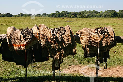  Subject: Saddles used for animal transport / Place: Mato Grosso do Sul state (MS) - Brazil / Date: 04/2008 