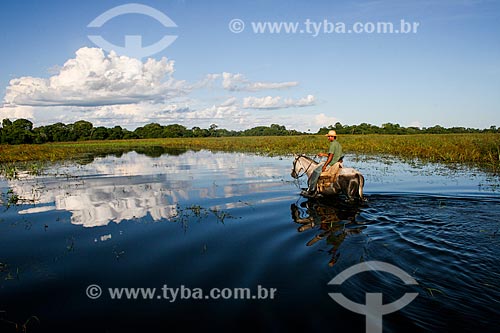  Subject: Cowboy crossing flooded area - Pantanal Matogrossense / Place: Mato Grosso do Sul state (MS) - Brazil / Date: 04/2008 