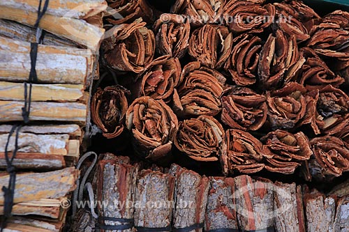  Subject: Aroeira - Califórnia peper tree shells for sale - Traditional trade / Place: City center - Fortaleza city - Ceara state (CE) - Brazil / Date: 03/2014 