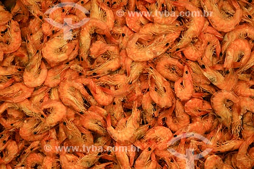  Subject: Shrimps for sale - Ver-o-peso Market / Place: Belem City - Para state (PA) - Brazil / Date: 03/2014 