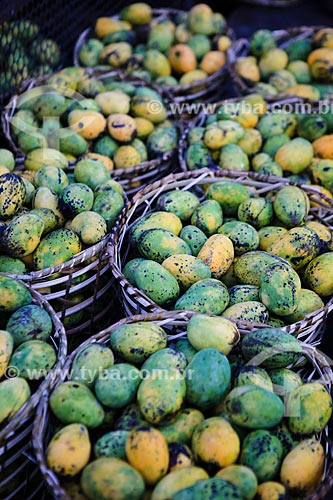  Subject: Mango - Ver-o-peso Market / Place: Belem City - Para state (PA) - Brazil / Date: 03/2014 