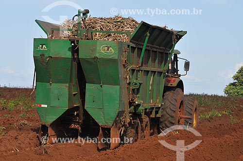 Subject: Mechanized planting of sugarcane / Place: Sao Simao city - Goias state (GO) - Brazil / Date: 02/2014 