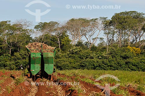  Subject: Mechanized planting of sugarcane / Place: Sao Simao city - Goias state (GO) - Brazil / Date: 02/2014 