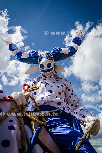  Subject: Masked during the Festa do Divino / Place: Pirenopolis city - Goias state (GO) - Brazil / Date: 05/2013 