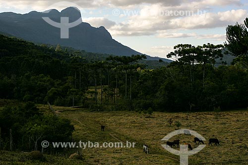  Subject: General view of Serra do Papagaio State Park / Place: Aiuruoca city - Minas Gerais state (MG) - Brazil / Date: 06/2007 