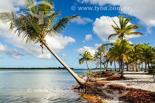  Subject: Goio Island - Camamu Bay / Place: Marau city - Bahia state (BA) - Brazil / Date: 02/2014 