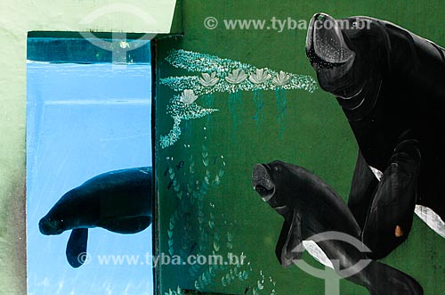  Subject: Manatee tank in the Institute for Amazonian Research (INPA) / Place: Manaus city - Amazonas state (AM) - Brazil / Date: 04/2014 