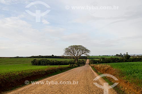  Subject: Rural area of Sao Miguel Missoes city / Place: Sao Miguel das Missoes city - Rio Grande do Sul state (RS) - Brazil / Date: 06/2012 