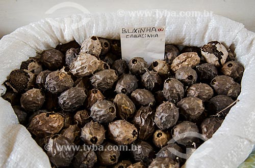  Subject: Buchinha or cabacinha sold at Central Market - Luffa operculata / Place: Sao Luis city - Maranhao state (MA) - Brazil / Date: 07/2012 