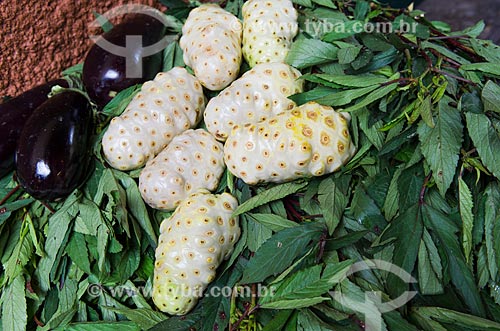  Subject: Noni sold at Central Market  / Place: Sao Luis city - Maranhao state (MA) - Brazil / Date: 07/2012 