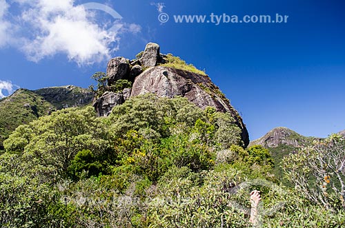  Subject: Gloria Peak - Serra dos Orgaos National Park / Place: Petropolis city - Rio de Janeiro state (RJ) - Brazil / Date: 04/2014 