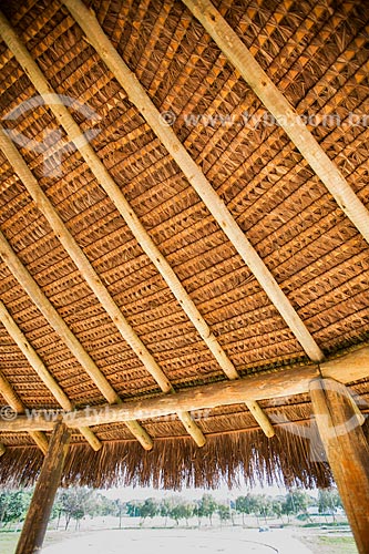  Subject: Straw roof of hut of Center for Intercultural Education of Federal University of Goias / Place: Goiania city - Goias state (GO) - Brazil / Date: 05/2014 