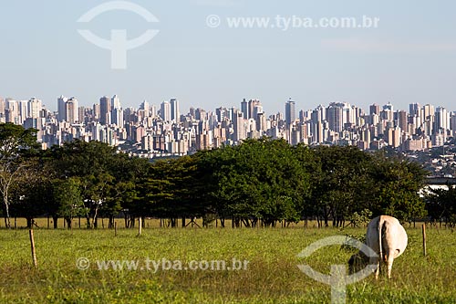  Subject: Central region of Goiania viewed from Federal University of Goias campus / Place: Goiania city - Goias state (GO) - Brazil / Date: 05/2014 