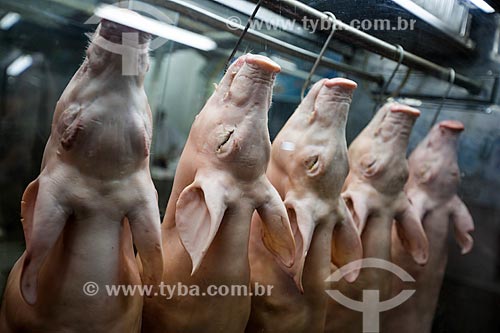  Subject: Pigs on exhibition in butcher of Goiania Municipal Market / Place: Goiania city - Goias state (GO) - Brazil / Date: 05/2014 