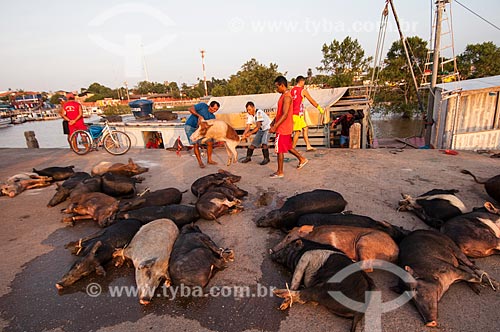  Subject: Sale of pigs on Santa Ines Market - That kind of marketing of animals is considered irregular second health authorities / Place: Macapa city - Amapa state (AP) - Brazil / Date: 10/2010 