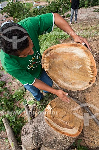  Subject: Man cutting the tree to make a Viola de cocho - symbol of cultural identity mato-grossense / Place: Cuiaba city - Mato Grosso state (MT) - Brazil / Date: 12/2010 
