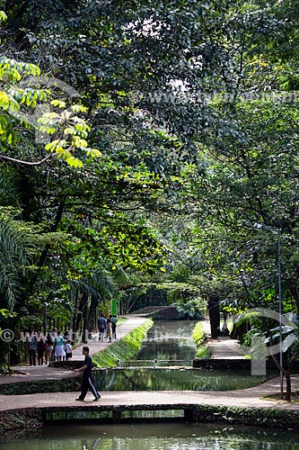  Subject: Buriti Stream - Woods of Buritis / Place: Goiania city - Goias state (GO) - Brazil / Date: 05/2014 