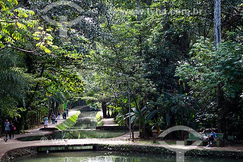  Subject: Buriti Stream - Woods of Buritis / Place: Goiania city - Goias state (GO) - Brazil / Date: 05/2014 