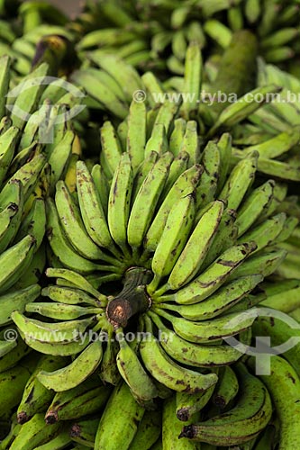  Subject: Bunchs of bananas unripe on sale of Adolpho Lisboa Municipal Market / Place: Manaus city - Amazonas state (AM) - Brazil / Date: 04/2014 