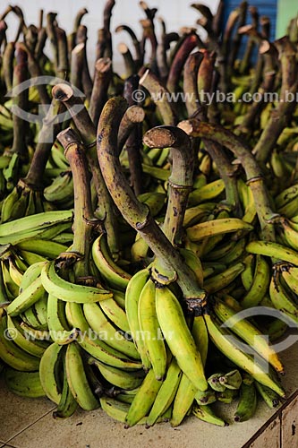  Subject: Bunchs of bananas unripe on sale of Adolpho Lisboa Municipal Market / Place: Manaus city - Amazonas state (AM) - Brazil / Date: 04/2014 