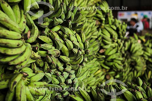  Subject: Bunchs of bananas unripe on sale of Adolpho Lisboa Municipal Market / Place: Manaus city - Amazonas state (AM) - Brazil / Date: 04/2014 